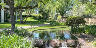 Plenty of Light in an Urban Oasis Gallery 17