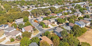 39 Longleaf Coral Gallery 38