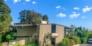 Annandale Terrace Gallery 20