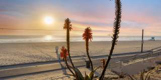 Ocean Breeze Terrace Gallery 39