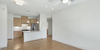 Brazos Oaks Gallery 14
