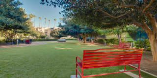 3400 Avenue of the Arts Apartments Gallery 14