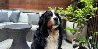 267 West 71st Street Gallery 13