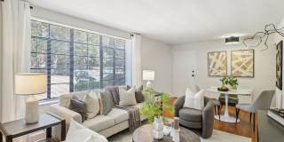 Shelton Apartments Gallery 2