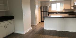 156 Grandview Street - 4 Gallery 4