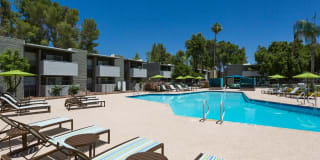 Scottsdale 59 Gallery 20