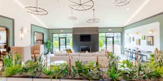 Woodland Meadows Gallery 6