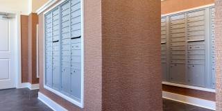 Waterleaf at Salt Creek Gallery 14