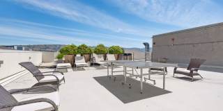 LINQ LINQ Gallery 18