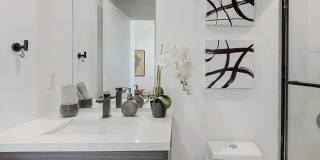 6344 Camellia Gallery 7