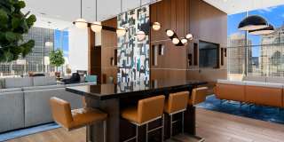 State & Chestnut Gallery 19