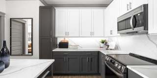 The Steadman Apartments Gallery 13