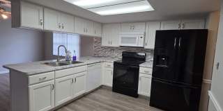 7005 Pin Cherry Ln Gallery 4