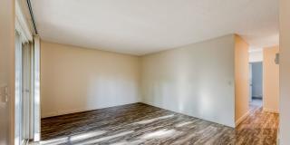 Michael Manor Apartments Gallery 10