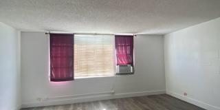 Pearlridge Gardens & Towers, Newly renovated 2 bed, 2 ba, 1 parking incl water/sewer, building amenities very convenient location Gallery 5