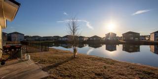 12634 CACAO TREE Trail Gallery 29