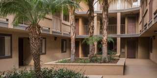 Elan View Pointe Gallery 15