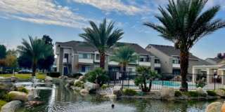 The Springs Gallery 1