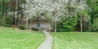 Villas de las Colinas 4 Gallery 12