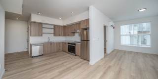 Signal Point Gallery 6