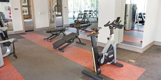 Jones & Rio Jones & Rio Gallery 54