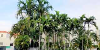 1604 Drexel Avenue Gallery 4