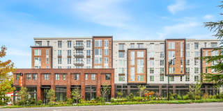 Ellis at Bel-Red Gallery 40