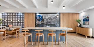 Elm at Panorama Gallery 37