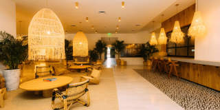 Flow Fort Lauderdale Flow Fort Lauderdale Gallery 27