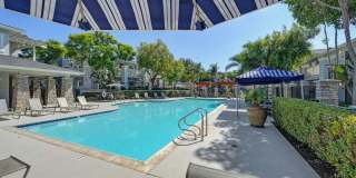 The Tradition Gallery 13