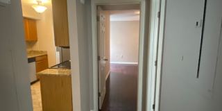 Gorgeous 3 bedroom Will Not Last Gallery 7