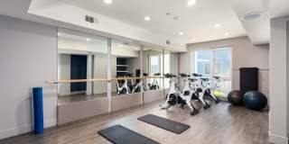 The Triton Gallery 15