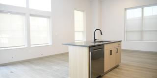 The Guild Gallery 11