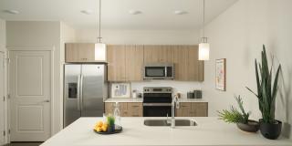 Star Crest Ranch Gallery 20