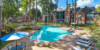 Greenwood Forest Gallery 11