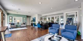 Southern Oaks Southern Oaks Gallery 49