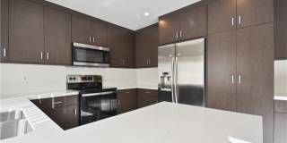 11 Dragonfly Gallery 1