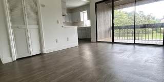 7616 LAS PALMAS Way Gallery 4