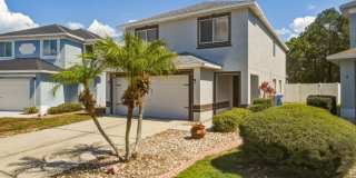 Gorgeous 4-Bedroom Single-Family Home with Pool in Summerfield Gallery 3