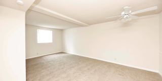 Noah's Landing Gallery 10