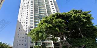 One bedroom unit at 1450 Young Street Gallery 1