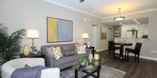 Paseos At Magnolia Luxury Apartment Homes Gallery 33