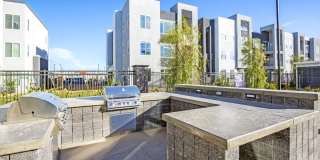 The Douglas at Stonelake Gallery 3