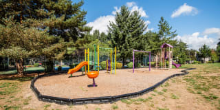 Signature Pointe Gallery 38