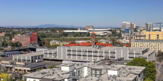 The Dianne Apartments Gallery 23