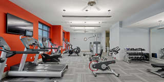 The Washingtons Gallery 13