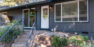 Pinewood Terrace Gallery 15