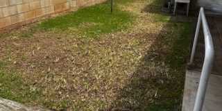 Foster Village - Available Now!  4 bedroom/ 2.5 bathrooms / 3+ parking Gallery 28