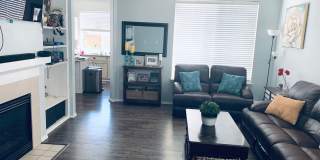 Silver Firs home! Gallery 1