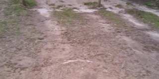 120 W Heron Street Gallery 23